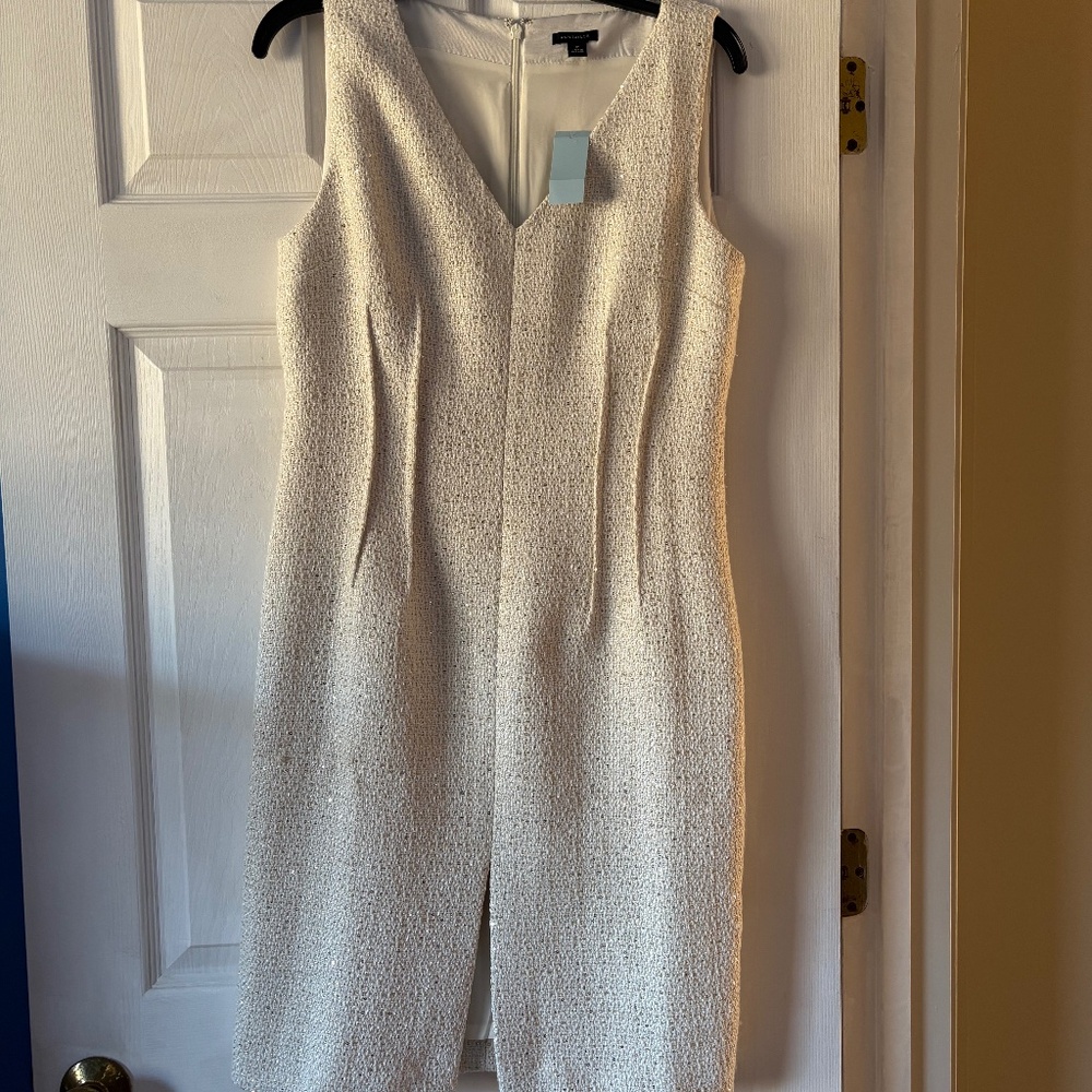 Winter Sheath Dress